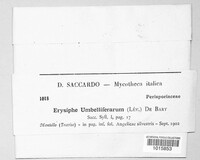 Erysiphe heraclei image